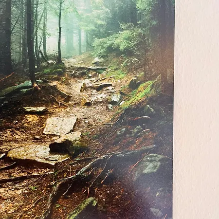 Appartement Boutique Lenzkirch