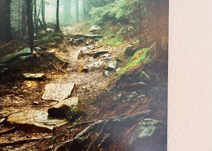 Lägenhet Boutique Lenzkirch